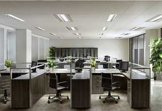 广西物流传送带