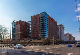 湖北仿真绿植批发价格