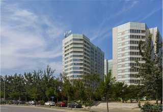 宝山区订做简约手提袋多少钱